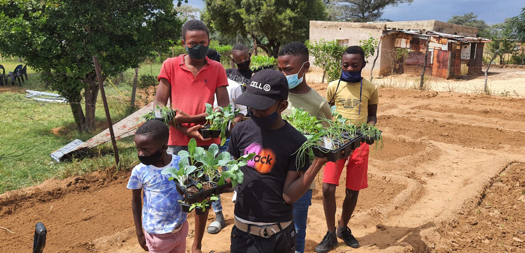 Community growing vegetables