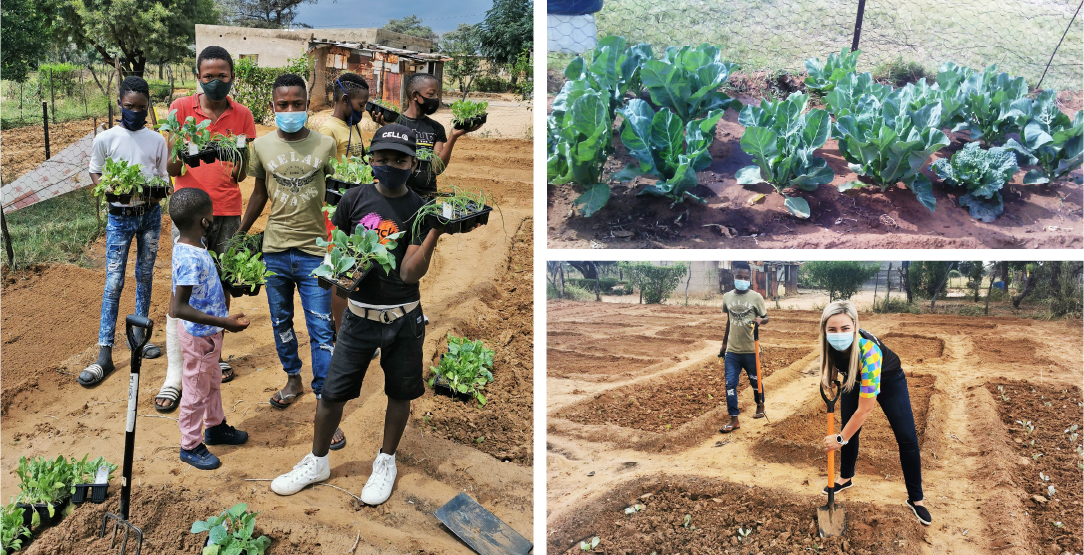 Community upliftment through gardening