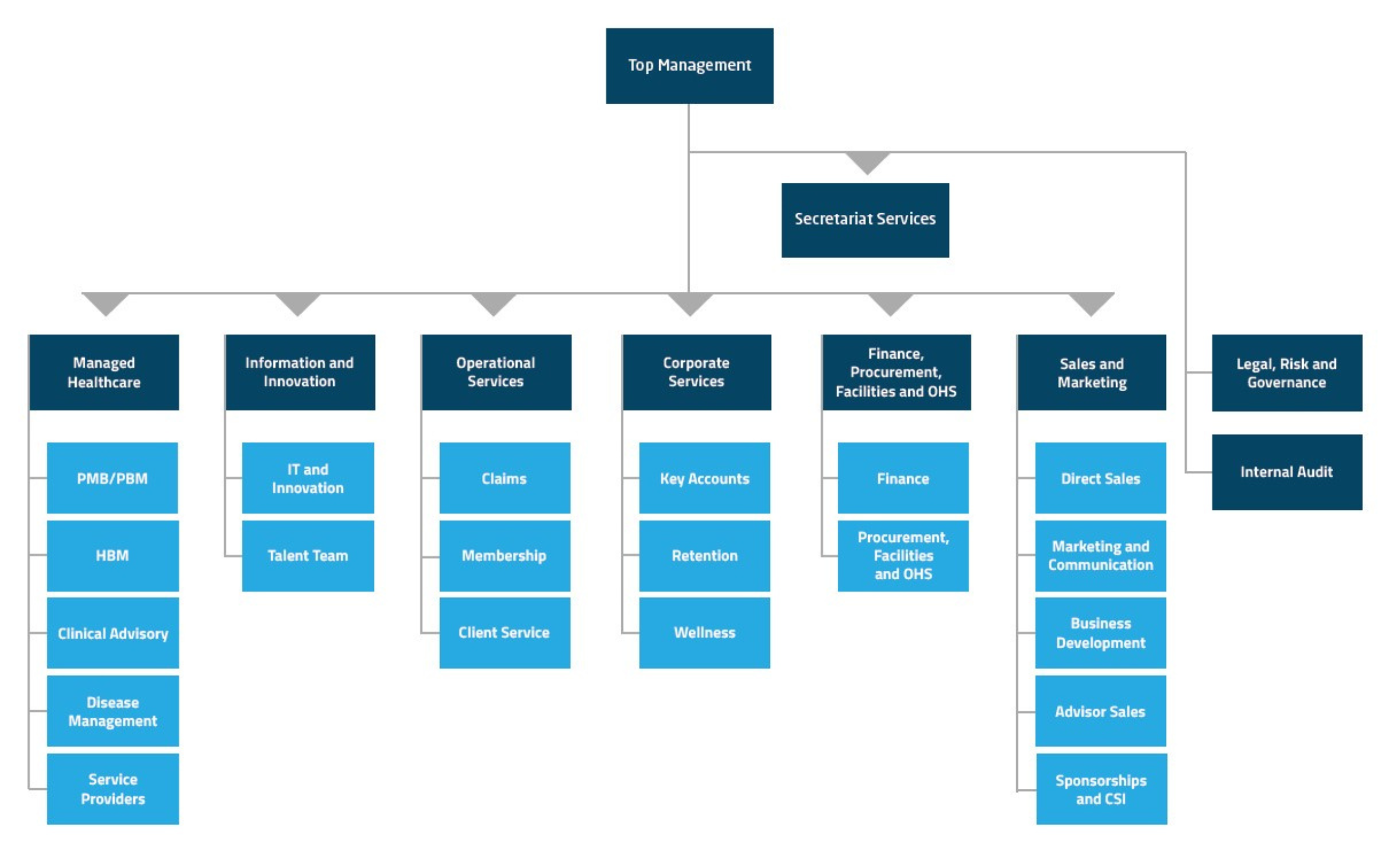 Bestmed Organogram 